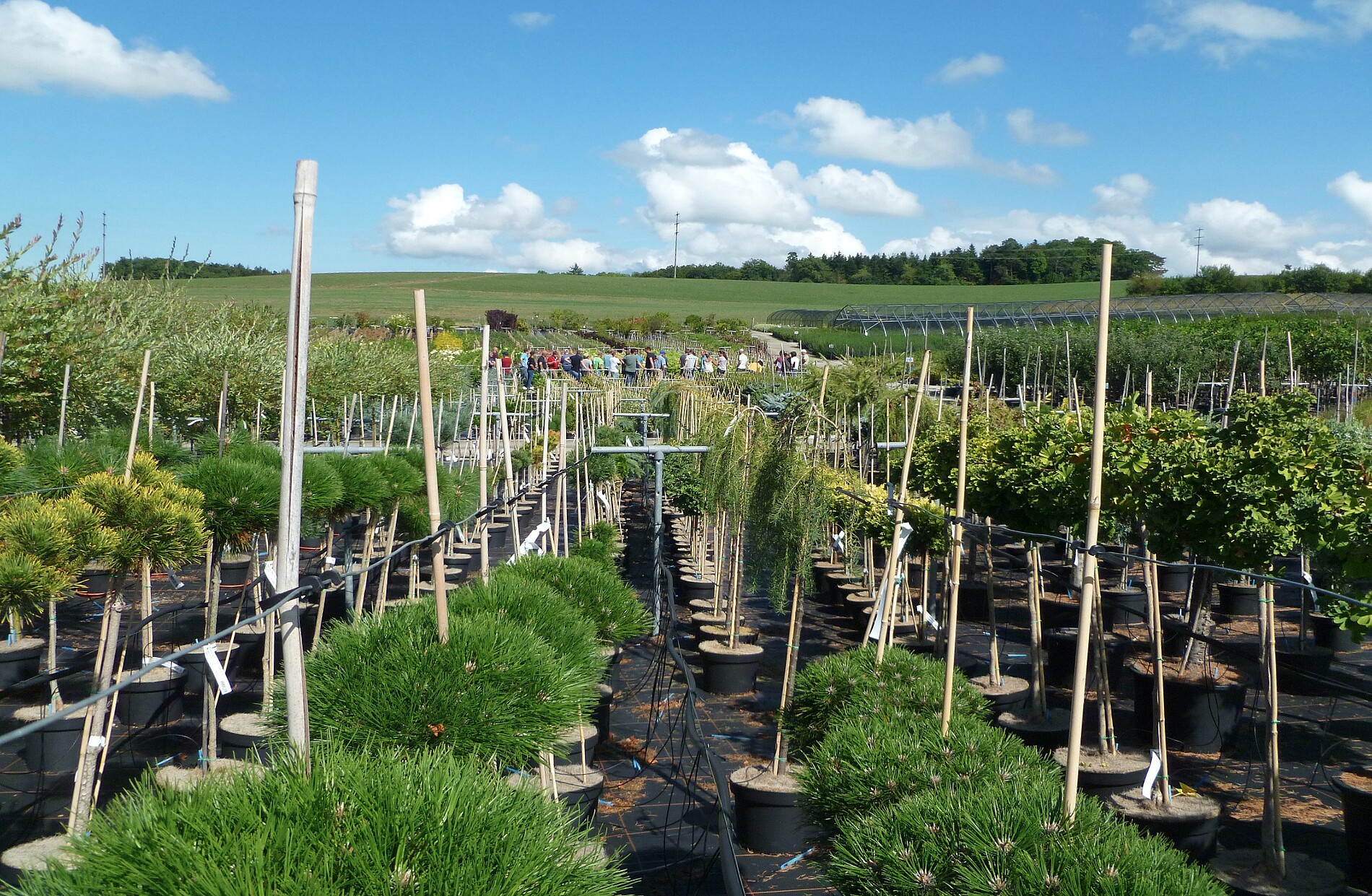 Bildquelle: Archiv g’plus